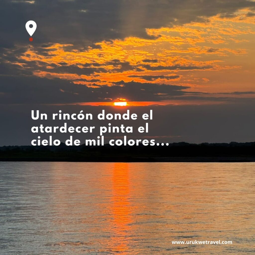 Imagen de WhatsApp 2025-04-27 a las 20.56.12_d013b6bb